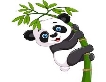 Картинка панда залезла на бамбук ❤ для срисовки